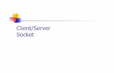 Client/Server Socketbosio/GMEE115/04-sockets.pdf · 2012. 10. 16. · est pleine, le client reçoit une erreur 29 . Accept ! int accept(int sock, struct sockaddr *adresse, socklent_t