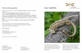 Petite bibliographie Les reptiles · 2020. 8. 19. · Kramer, E. & Stemmler, O. (1992) Nos reptiles Muséum d’histoire naturelle, Bâle. Meyer, A. & al. (2003) Les reptiles en milieu