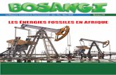 LES ÉNERGIES FOSSILES EN AFRIQUE · 2018. 1. 15. · 4 BOSANGI - Le magazine trimestriel de l’environnement - Jan - Fév - Mars.2018 / N°53 Des coalitions pour la sortie du Charbon