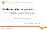 Voiries et plantes invasives - Agriculture...Mode opératoire : Définition d’une stratégie d’intervention / foyer (CD 53) avant même le mode d’intervention Sensibilisation