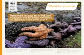 Planète vivante - WWF-Canadaawsassets.wwf.ca/downloads/livingplanet_spring_2012_fr.pdf · Planète vivante, printemps 2012 — Page 6 1. e travail du Fonds mondial pour la nature.L
