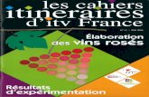 Institut Francais de la Vigne et du Vin - IFV · En 998, la synthèse bibliographique des travaux conduits au COUt-S des vingt dernières années, a mis en évidence l' insuffisance