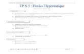 tp5 Flexion hyperstatique - F2Schoolf2school.com/.../2019/10/RDM-tp5-flexion-hyperstatique.pdf · 2019. 10. 20. · TP N°5: Flexion Hyperstatique Atelier de Mécanique Générale