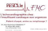 L'échocardiographie chez l'insuffisant cardiaque aux urgences · 2019. 11. 6. · 3 - Echographie cardiaque 4 - Echographie abdominale 5 - Doppler veineux des membres inférieurs