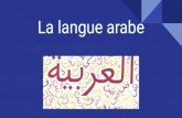 La langue arabe - Lycée Evariste Galois · 2020. 4. 16. · La langue elle-même est le reflet de cette pluralité puisqu’elle se présente comme une diglossie (= la coexistence