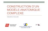 CONSTRUCTION D’UN MODÈLE ANATOMIQUE COMPLEXE · 2014. 11. 17. · • Anatomie imparfaitement connue • Anatomie complexe car structures profondes diffcilement accessibles même