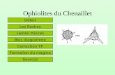 Les ophiolites du ChenailletL’océan alpin 1 manteau (lherzolite) serpentinisée 2 gabbros 3 brèche de talus 4 volcans à laves en coussins. Reconstitution du fond de l'océan alpin.