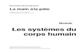 Les systèmes du corps humain - University of Belgraderukautestu.vin.bg.ac.rs/bdd_image/238_3409_299_952_corps...systèmes du corps humain qui fonctionnent ensemble et forment un seul