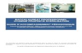 BACCALAUREAT PROFESSIONNEL HYGIENE PROPRETE STERILISATION · Baccalauréat professionnel Hygiène propreté stérilisation BACCALAUREAT PROFESSIONNEL HYGIENE PROPRETE STERILISATION