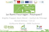 Le Rami Fourrager: Pourquoi?idele.fr/fileadmin/medias/Documents/Rami_ آ  2013. 10. 5.آ  Le Rami : diffأ©rents