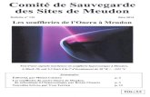 CSSM - Bulletin 136 · 2019. 2. 21. · Comité de Sauvegarde des Sites de Meudon Bulletin no 136 Juin 2014 Les souffleries de l'Onera à Meudon Test d'une capsule martienne en soufflerie