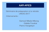 AAFI UNOG oct 2017 · 2018. 9. 14. · How AAFI-AFICS help 1. For Information on pensions a) Upon request, we refer you to, or help you, access existing reports, publications, etc.