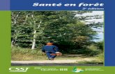 Santé en forêt - Association forestière du sud du Québec · 2020. 9. 1. · la prévention en forêt, le présent guide de santé s’adresse aux employeurs et aux travailleurs