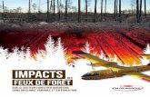 Impacts...En 106 jours d’activité, ce feu aura brûlé de nombreuses infrastructures et pas moins de 107 004 hectares de forêt (MRNF 2011a), soit l’équivalent de plus de deux