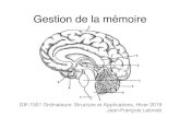 24. Gestion de la mémoire - Université Lavalvision.gel.ulaval.ca/~jflalonde/cours/1001/h19/cours/24... · 2019. 3. 31. · Gestion mémoire: objectif • Un ordinateur possède