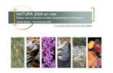 NATURA 2000 en mer · 2011. 3. 1. · Natura 2000 Les habitats de la directive Habitats génériques (Directive) Code Nom 1110 Bancs de sable à faible couverture permanente d’eaux