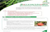 BULLETIN LÉGUMES · 2018. 10. 23. · ulletin Légumes F 1 BULLETIN LÉGUMES BOURGOGNE FRANCHE-COMTÉ Le Bulletin Légumes Bourgogne-Franche-Comté s’adresse aux professionnels