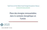 Place des énergies renouvelables dans le contexte ......Tunisie Nafâa BACCARI-Tunisie La problématique de l'eau dans le monde 923 millions de personnes n'ont pas d'accès à l'eau