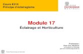 Module 17 - Moodle...Module 17 Éclairage et Horticulture École Polytechnique de Montréal Plan de cours 2 Module 17: • Photosynthèse • Rayonnement photosynthétiquement actif