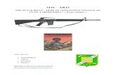 M16 AR15 - SFRperso.numericable.fr/asmontlouistir/articles frederic... · 2020. 11. 12. · Colt commercialise l'AR-15 à divers services militaires du monde entier, y compris l'US
