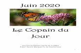 Le Copain du Jour - Réseau Santé Glâne · 2020. 6. 10. · 3 Editorial Voilà déjà (ou peut-être enfin pour certains) le journal du mois de juin. C’est désormais presque