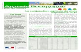 La conjoncture agricole du mois Septembre 2015 En bref Ldraaf.bourgogne-franche-comte.agriculture.gouv.fr/IMG/...La richesse en sucre fluctue, entre 16,5 % et 18 % selon les premières