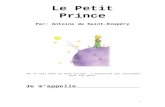 Le Petit Prince - Lancaster High School · 2018. 8. 8. · PP = Petit Prince Chapitres 1 à 3 1. A quel âge est-ce que le narrateur a dessiné les deux dessins de ... 16. Expliquez