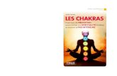 Sylvie Verbois LES CHAKRAS - fnac-static.com · 2016. 2. 25. · LES CHAKRAS Exercices de . MÉDITATION. pour s’initier à la . SPIRITUALITÉ. hindoue et trouver la . PAIX INTÉRIEURE.