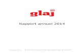 Rapport annuel 2014 - GLAJ-GE · 2016. 8. 11. · Rapport annuel 2014 ... Rapport de la fiduciaire pour l’année 2014 ... expérience de camp peut être validée comme stage dans