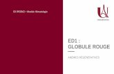 ED DFGSM2 Module Hématologie · 2020. 10. 23. · 1.2.2 Les anémies régénératives : les hémolyses • En l’absence d’orientation évidente : test de Coombs et recherche
