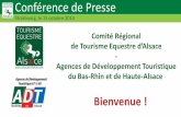 Assemblée Générale 2011-2013 des CRTE - CDTE67 - CDTE68 · 2014. 12. 6. · En progression de 123% depuis 2007 4 500 licenciés Tourisme Equestre en 2013 en Alsace : - Bas-Rhin:
