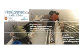 COMIT PERMANENT - 2017-02-09 vF Vf.pptx) · 2017. 3. 28. · Impacts positifs sur la prévention des chutes (P) et l’ergonomie (E) de l’activité de pêche au homard Support à