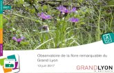 Observatoire de la flore remarquable du Grand Lyon · 2017. 6. 16. · Rebords du Plateau de la Dombes (ENS de Sermenaz) : Aira elegantissima Schur. LC. RILLIEUX-LA-PAPE - 1 localité,