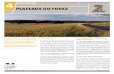 PlATEAUx DU fOREz 02 - Centre de ressources régional des … · 2017. 1. 26. · teau de St-Pierre-du-Champ / 4.02 D Plateau de St-Pal-en-Chalencon / 4.02 E Plateau de Val-privas