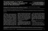 Stratigraphie et analyse sédimentologique du passage …geolfrance.brgm.fr/sites/default/files/upload/documents/... · 2015. 7. 2. · STRATIGRAPHIE ET ANALYSE SÉDIMENTOLOGIQUE