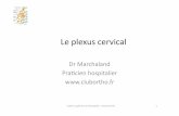 Dr Marchaland Pracien hospitalier ... · 2017. 8. 27. · Bouchet et Cuilleret) Ins4tut supérieur d'ostéopathie - Anatomie P2 9 Les branches collatérales • Branches motrices