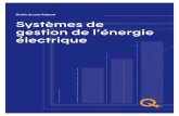Programme Systèmes de gesti - Hydro-Québec · 2020. 6. 2. · (SGEE) visant le ve sement d’un ou des Appui financiers, y compris la bonification complémentaire, aux Participants