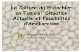 La Culture du Pistachier en Tunisie: Situation Actuelle et …networks.iamz.ciheam.org/grempa2015/presentations/WS-4... · 2015. 7. 2. · Extension Importante -Mise en valeur des