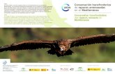 Conservación transfronteriza rapaces amenazadas …conservation des rapaces migrateurs menacés en Méditerranée, et d’établir les bases d’un plan d’action commun pour conserver