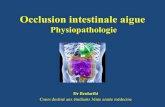 Physiopathologie de l’occlusion intestinale aiguemedecine.univ-batna2.dz/sites/default/files/medecine/...I. Définition •L’occlusion intestinale est définie par un arrêt du