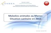 Maladies animales au Maroc: Situation sanitaire en 2013 · 2013. 12. 2. · Situation sanitaire en 2013 ROYAUME DU MAROC Hammamet , Novembre 2013. Plan Contexte Situation épidémiologique