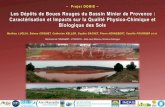 Les Dépôts de Boues Rouges du Bassin Minier de Provence ...–Projet DORIS – Les Dépôts de Boues Rouges du Bassin Minier de Provence : Caractérisation et Impacts sur la Qualité