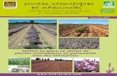 Brochure plantes aromatiques et medicinales-2016 · Les plantes de garrigue, cultivées en sec, représentant les besoins les plus importants des entreprises, ce guide est focalisé