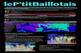 le P’tit Baillotais · 2020. 12. 1. · le P’tit Baillotais Mensuel d’informations locales et municipales de Baillet en France - N°2020/7- Novembre 2020 Ateliers sport prévention