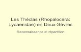 Les Théclas (Rhopalocéra: Lycaenidae) en Deux-Sèvresfiles.biolovision.net › › userfiles › ...La Thécla de l’yeuse, Satyrium ilicis • Vol : 3 - 30 juin • Habitat : lisières