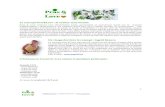 Le concept Peas&Love : la cuisine ayurvivante Un visage derrière … · 2019. 6. 12. · info@page22.be - tel 0476/39.14.27 – 1 Le concept Peas&Love : la cuisine ayurvivante Peas