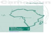 Cameroun - OECD · 2016. 3. 29. · au Cameroun, où il n’y a ... D’après la SNH (Société nationale des hydrocarbures), une vingtaine de puits devraient être forés en 2005.