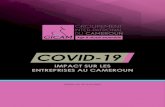 Rapport Enquete COVID-19 GICAM - 24 avril 2020bibliotheque.pssfp.net/livres/GICAM Rapport Enquete... · 2020. 6. 14. · Graphique 6.1. Répartition des entreprises selon la capacité