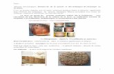 Terre.. Résumé chronologique : Histoire de de la poterie et ...aplt.fr/wind/wp-content/uploads/2020/04/Terre-avril-2020.pdfTerre.. 3 On trouve aussi de petites statuettes de faïence