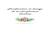 Purification et dosage de la phosphatase alcaline · de protéines totales par méthode de Bradford, la mise en évidence de l’activité enzymatique de la phosphatase alcaline,